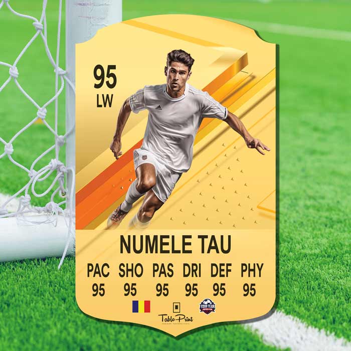 Card FIFA Personalizat cu Poza Ta și Statisticile Dorite  Cadoul Perfect pentru Pasionații de FIFA și Fotbal! 