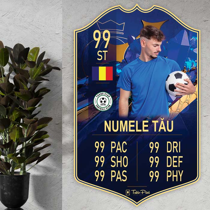 Card Fifa Personalizat S23 TOTY - TabloPrint