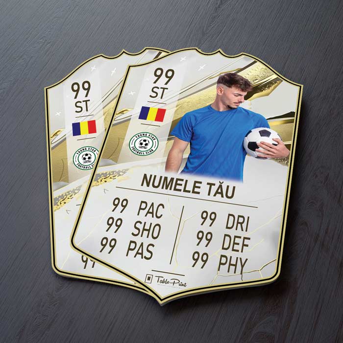 Card Fifa Personalizat S23 Icone - TabloPrint