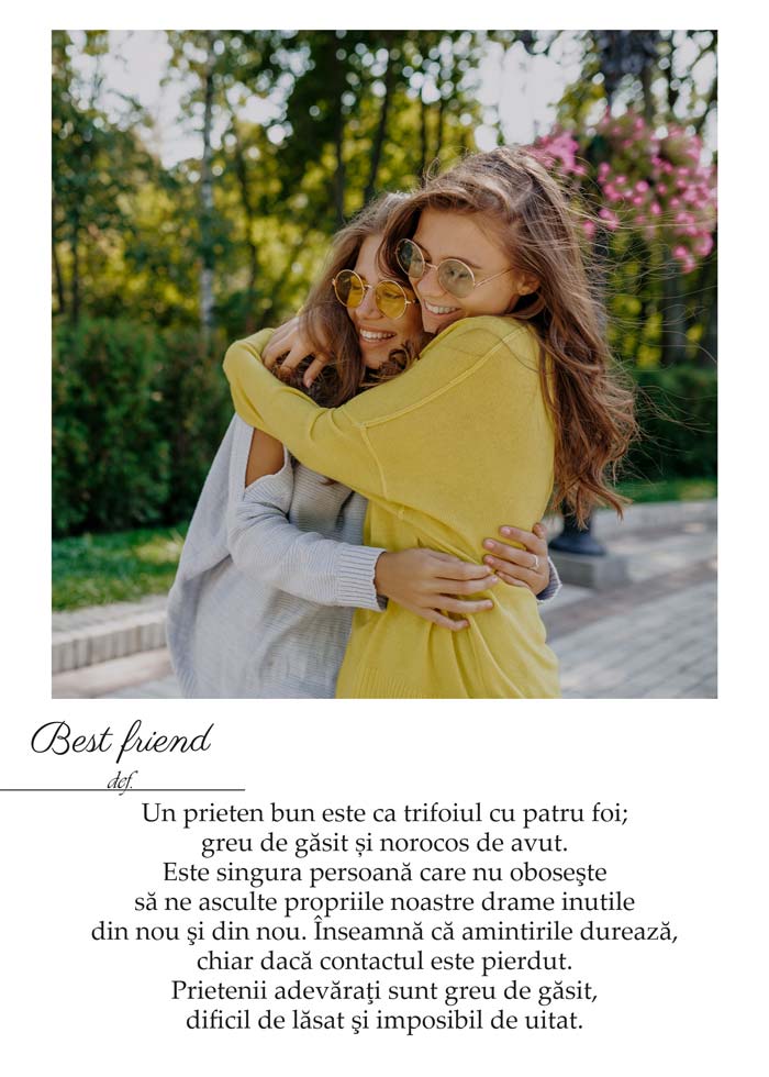 Tablou cu poza si mesaj definitie-Best Friend - TabloPrint